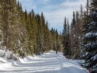 Camp Mercier
